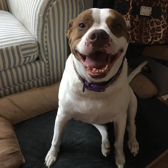 Meet your Posher, Jennifer - Picture 3 of 9